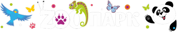 Логотип компании Живая сказка